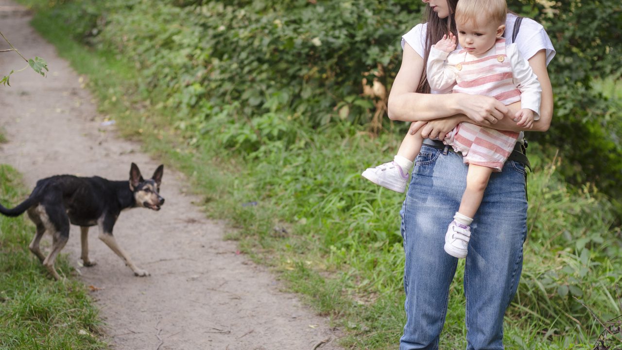 what to do with a dog that bites people