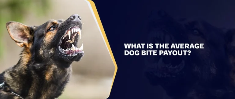What Is The Average Dog Bite Payout (1)