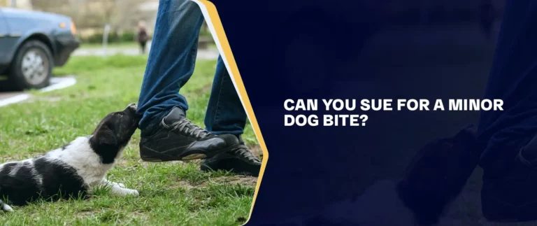 Can You Sue for a Minor Dog Bite