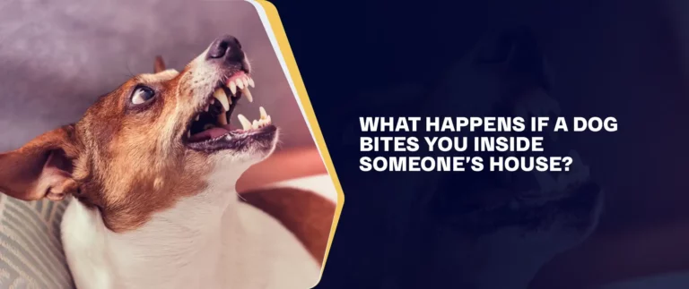 What Happens If A Dog Bites You Inside Someone’s House