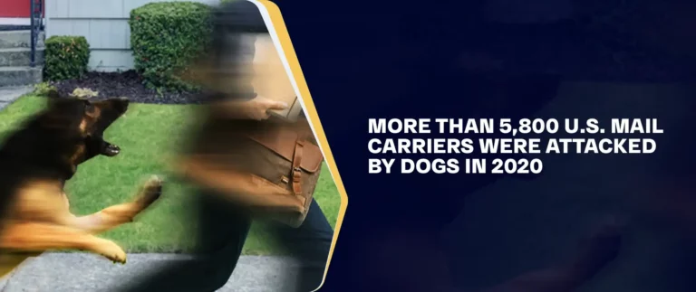 More Than 5,800 U.S. Mail Carriers Were Attacked by Dogs in 2020