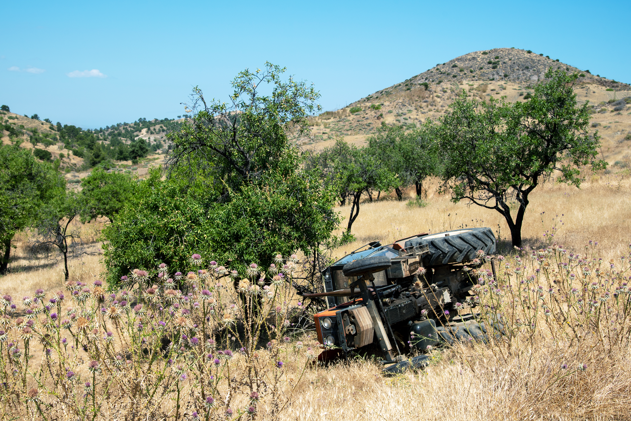 Accidentes Agrícolas Mortales