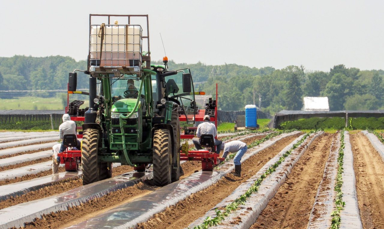 California Farm Accident Lawyers