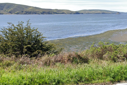 [07-04-2022] Marin County, CA - Swimmer Seriously Injured Following a Boat Accident in Tomales Bay