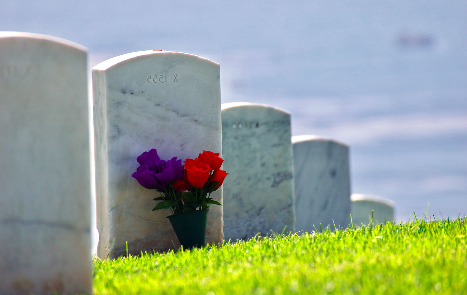 Data Related to Wrongful Death Cases in the United States