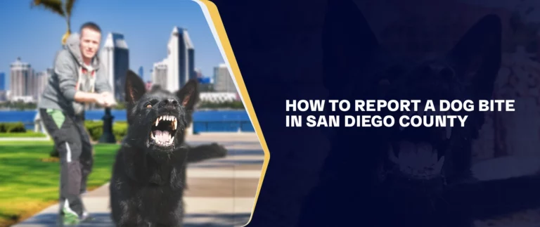 How To Report a Dog Bite in San Diego County v2 (1)