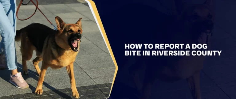 How To Report A Dog Bite In Riverside County