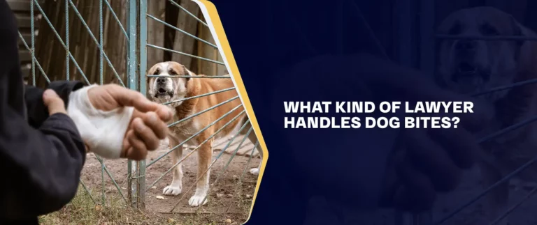 What Kind Of Lawyer Handles Dog Bites