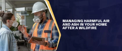 Managing Harmful Air And Ash Your Home After A Wildfire