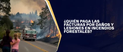 Quién Paga Las Facturas Por Daños Y Lesiones En Incendios Forestales