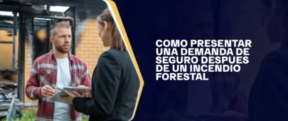 Como Presentar Una Demanda De Seguro Despues De Un Incendio Forestal (1)