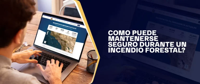 Como Puede Mantenerse Seguro Durante Un Incendio Forestal