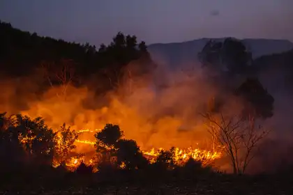 Incendios Forestales Del Condado De Los Ángeles Del 2025- Actualizaciones Críticas De Calidad Del Aire