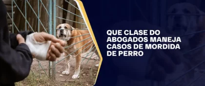 Que Clase Do Abogados Maneja Casos De Mordida De Perro (1)