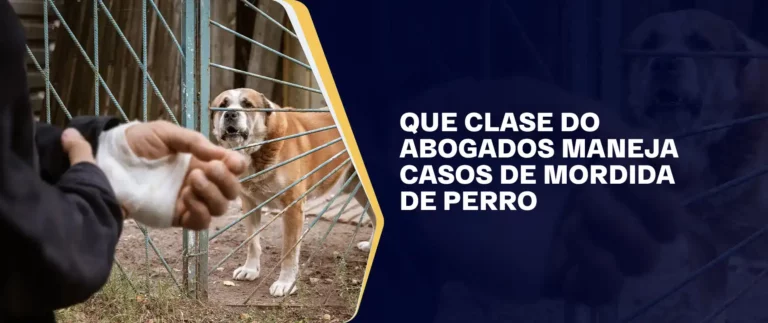 Que Clase Do Abogados Maneja Casos De Mordida De Perro (1)