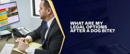What Are My Legal Options After A Dog Bite