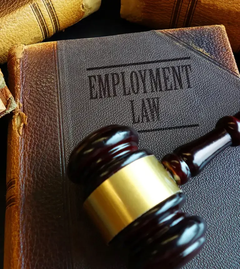 difference between employment law and labor law