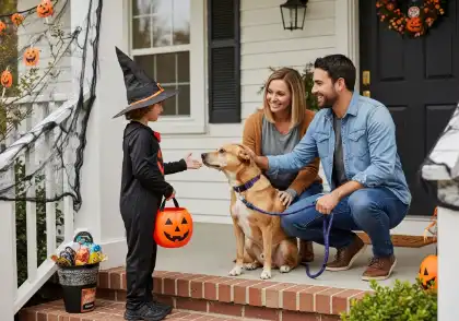 Child in a witch costume trick-or-treating and petting a dog while a couple supervises on a decorated porch