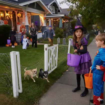 Dogs running toward trick-or-treating children from an open yard gate