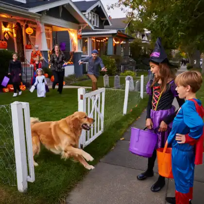 Excited dog running through an open gate toward trick-or-treating children as adults react from the porch