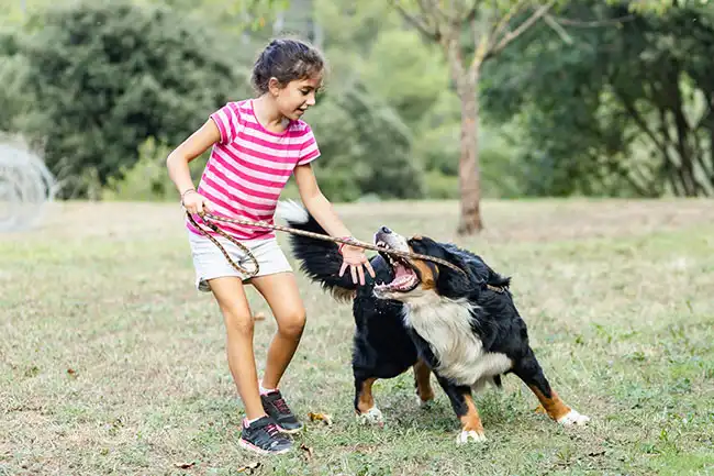 little girl playing with a dog at the park in Anaheim