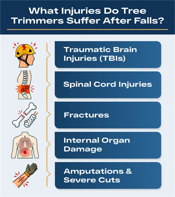 Common injuries from tree-trimming fall accidents