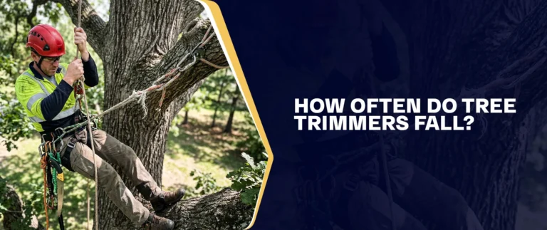 How Often Do Tree Trimmers Fall