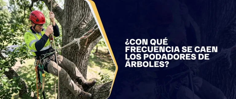 Con Qué Frecuencia Se Caen Los Podadores De Árboles