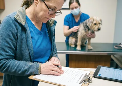 Dog bite quarantine report for personal injury claim