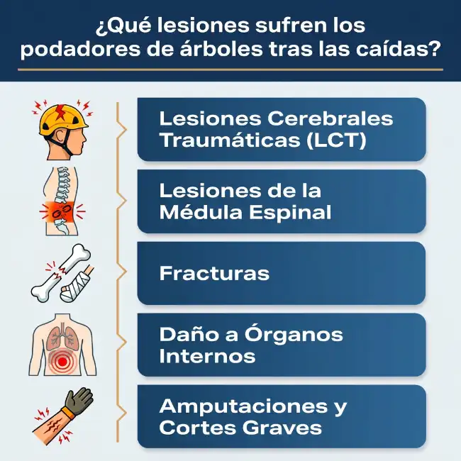 Lesiones habituales provocadas por accidentes de caída durante la poda de árboles