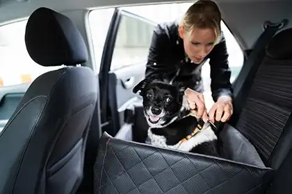 Otras personas que podrían ser responsables de una mordedura de perro