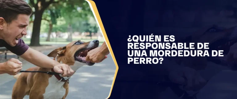 ¿Quién Es Responsable De Una Mordedura De Perro
