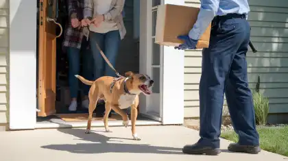 Cómo denunciar una mordedura de perro
