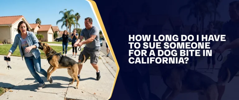 How Long Do I Have To Sue Someone For A Dog Bite In California