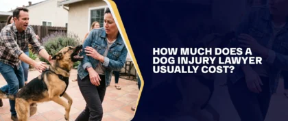 How Much Does A Dog Injury Lawyer Usually Cost
