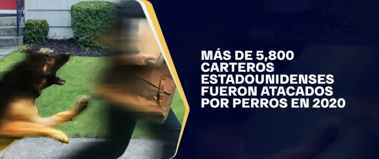 Más De 5,800 Carteros Estadounidenses Fueron Atacados Por Perros En 2020