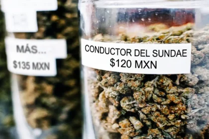 Qué cantidad de marihuana está permitida en la sangre de un conductor
