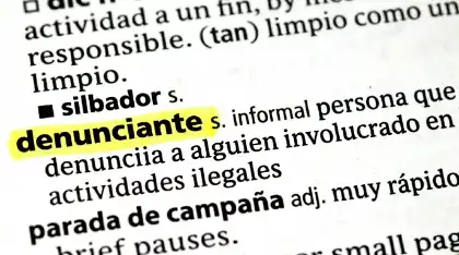 Qué es un denunciante