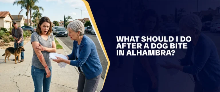 What Should I Do After A Dog Bite In Alhambra?