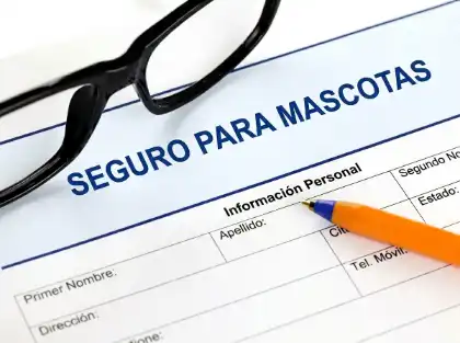 seguro para mascotas