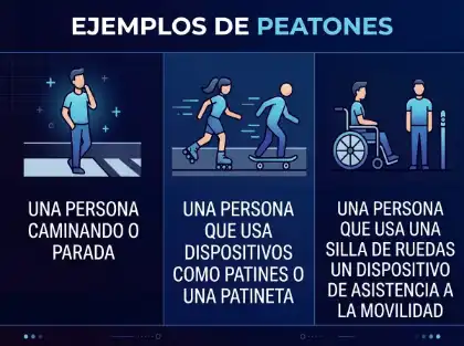 Un gráfico que ilustra los distintos tipos de peatones, desde los que caminan hasta los que utilizan patines o sillas de ruedas