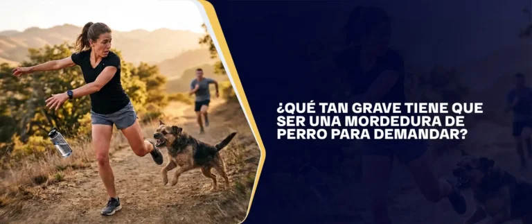 ¿Qué Tan Grave Tiene Que Ser Una Mordedura De Perro Para Demandar?